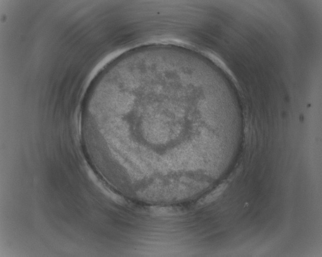 X0000081311032200702012329