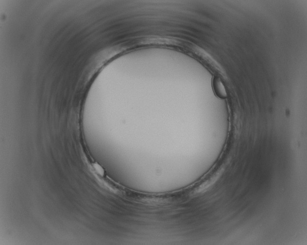 X0000081311033200702012329