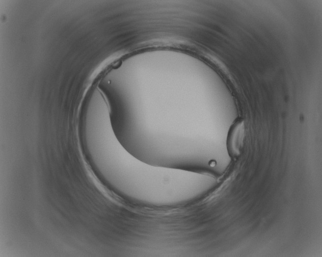 X0000081311034200702012329