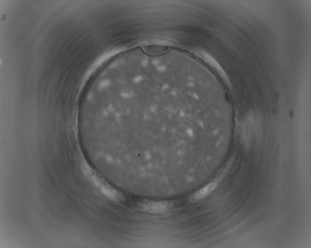 X0000081311035200702012329