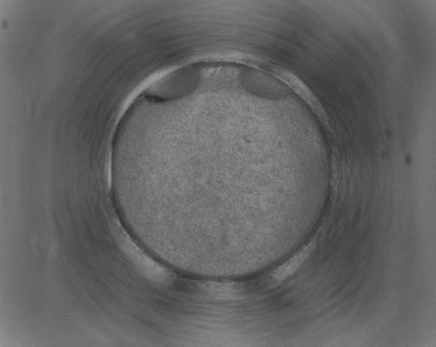 X0000081311036200702012329