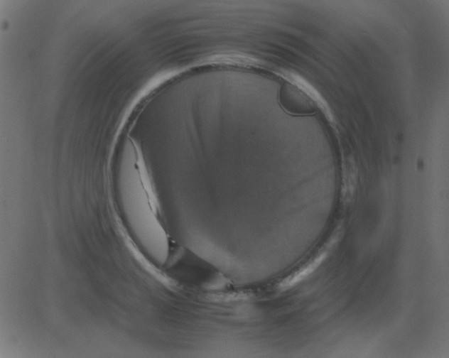 X0000081311037200702012329