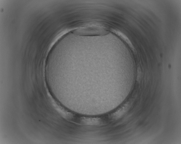 X0000081311039200702012329