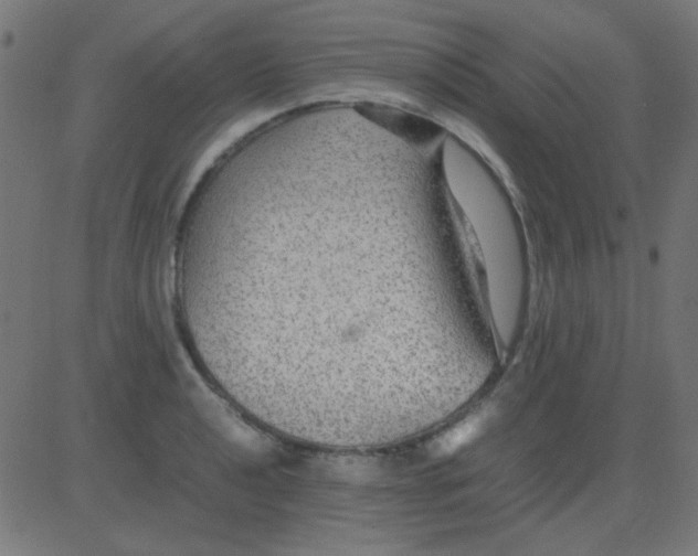 X0000081311040200702012329