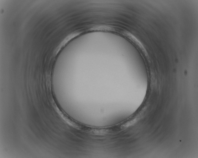 X0000081311041200702012329