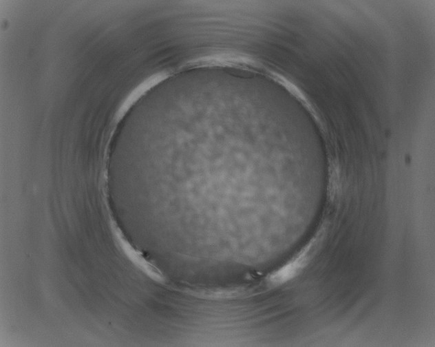 X0000081311042200702012329