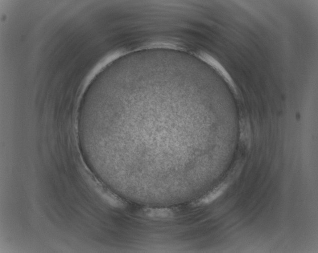 X0000081311043200702012329