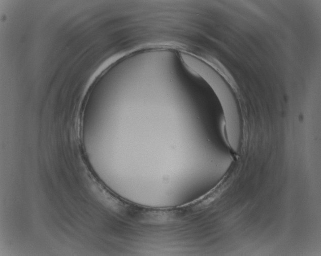 X0000081311044200702012329