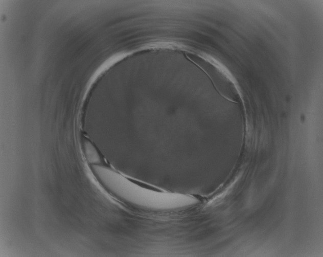 X0000081311045200702012329