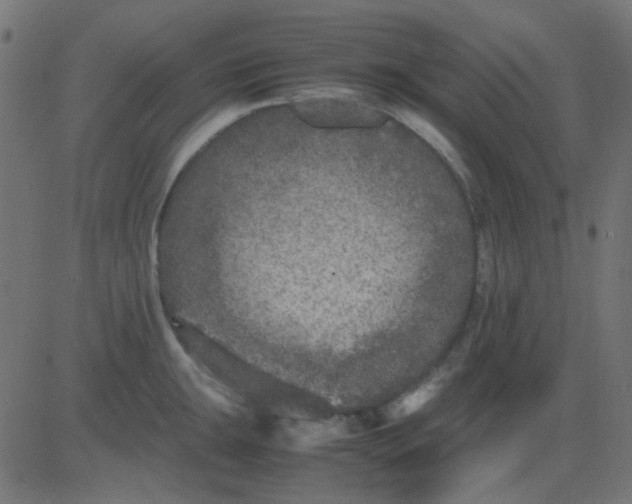 X0000081311047200702012329