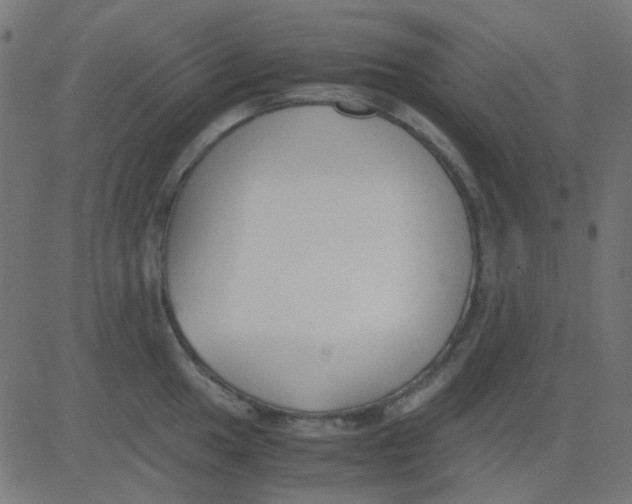 X0000081311049200702012329