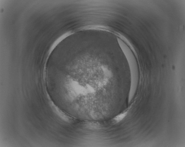 X0000081311050200702012329