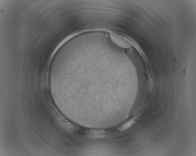 X0000081311052200702012329