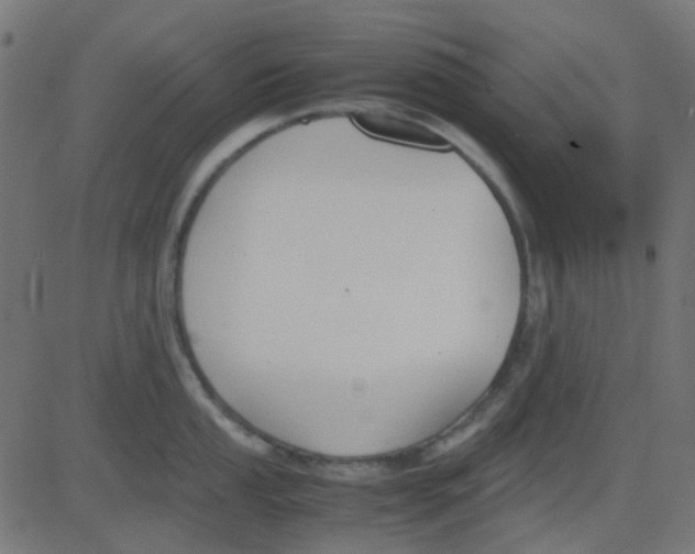 X0000081311053200702012329