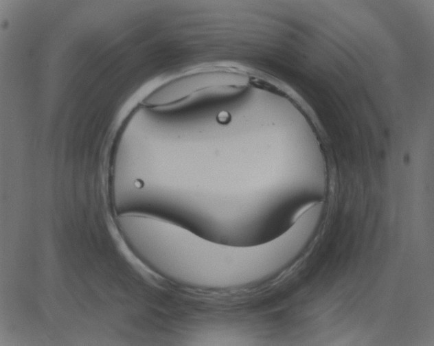 X0000081311054200702012329