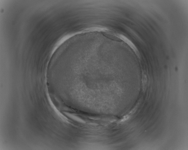 X0000081311055200702012329