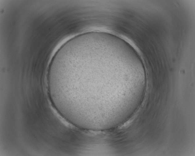 X0000081311056200702012329