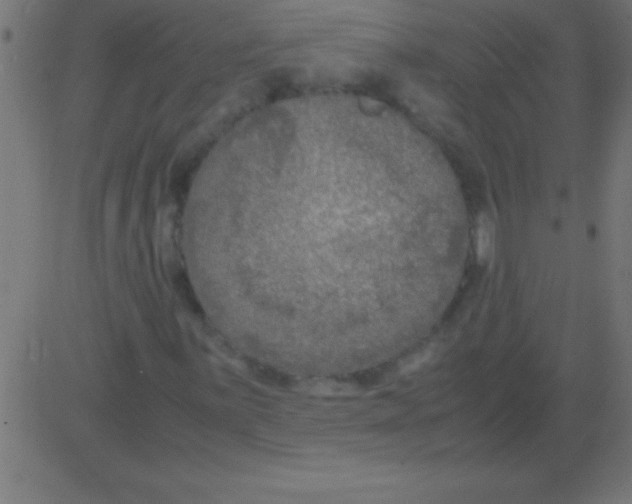 X0000081311059200702012329