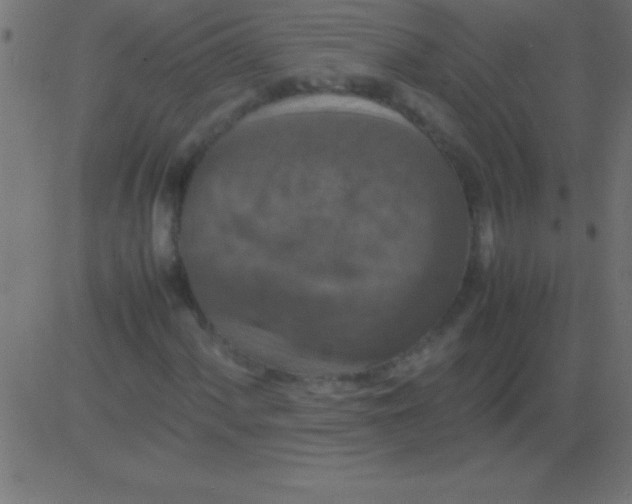 X0000081311060200702012329