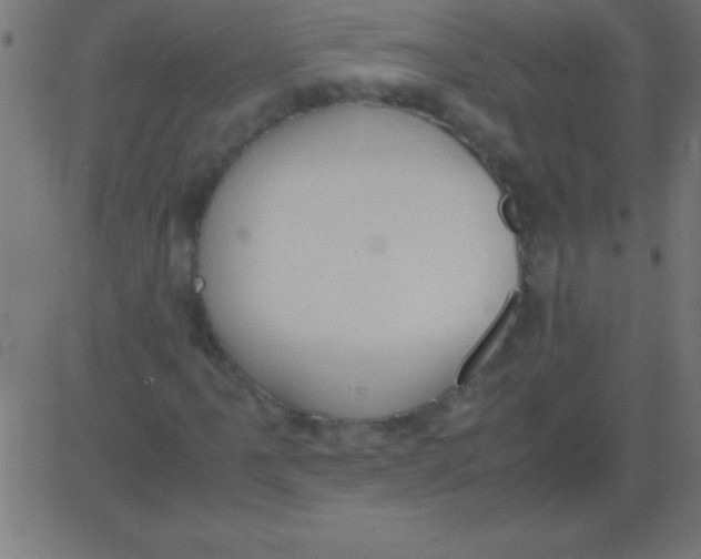 X0000081311061200702012329