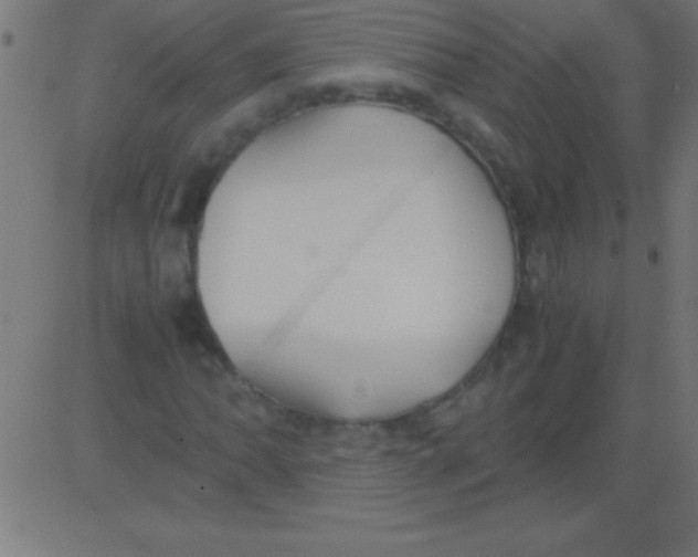 X0000081311062200702012329