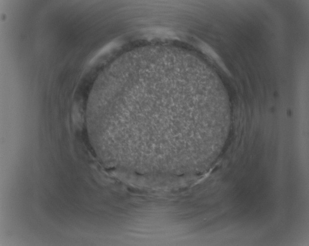 X0000081311063200702012329