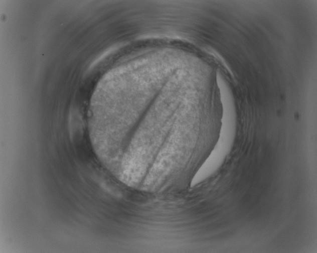 X0000081311064200702012329