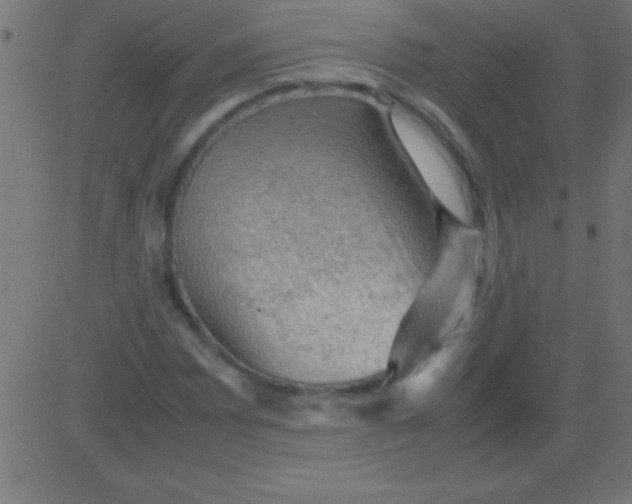 X0000081311065200702012329