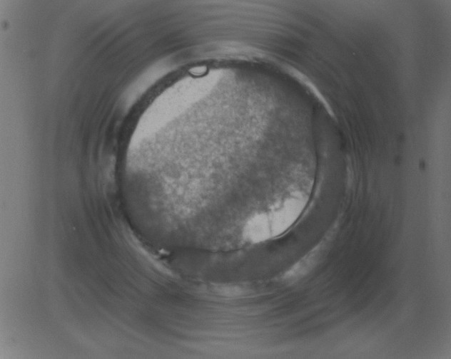 X0000081311066200702012328