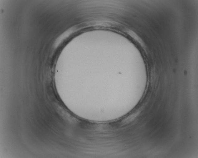 X0000081311067200702012328