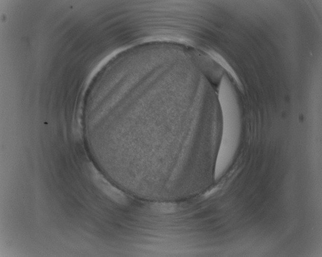 X0000081311068200702012328