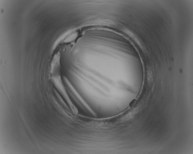 X0000081311069200702012328