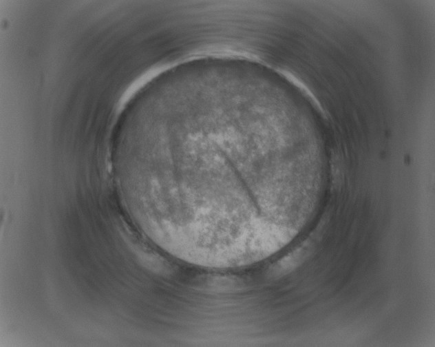 X0000081311070200702012328