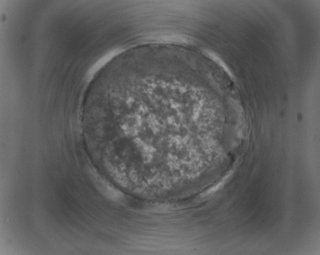 X0000081311071200702012328