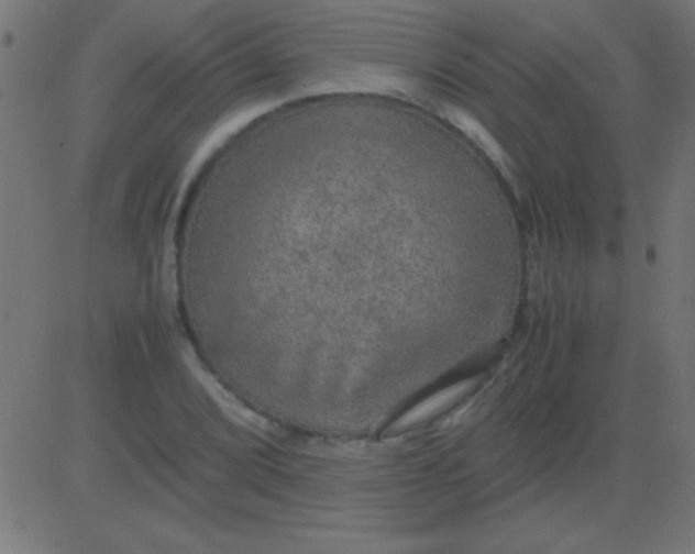 X0000081311072200702012328