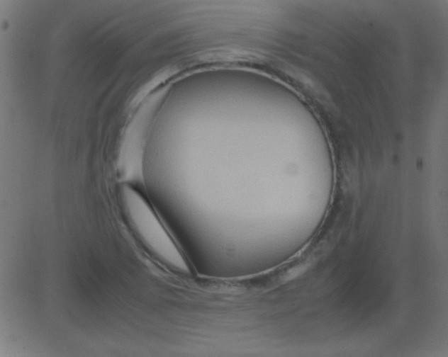 X0000081311073200702012328