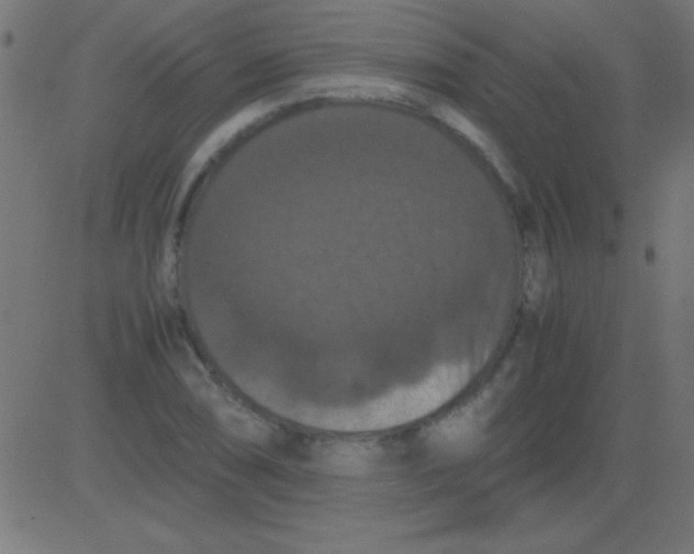 X0000081311074200702012328