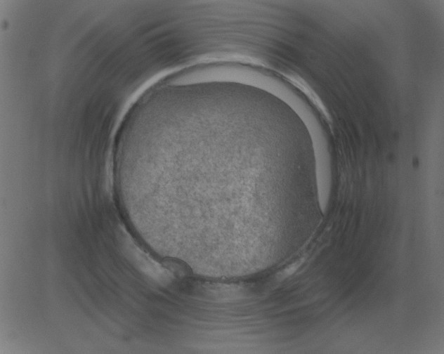 X0000081311076200702012328