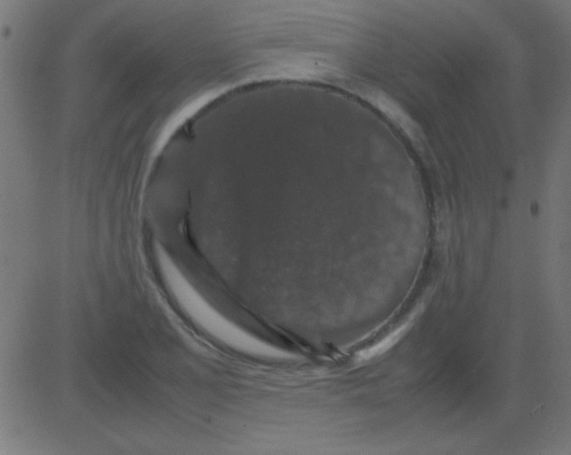 X0000081311077200702012328