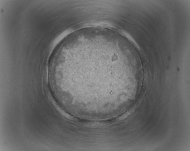 X0000081311079200702012328