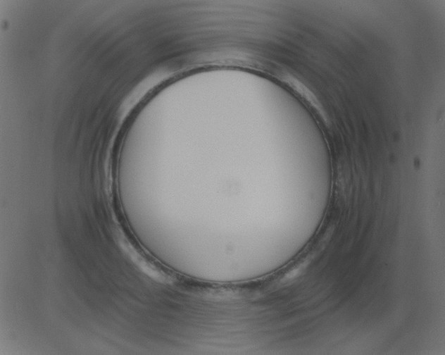 X0000081311082200702012328