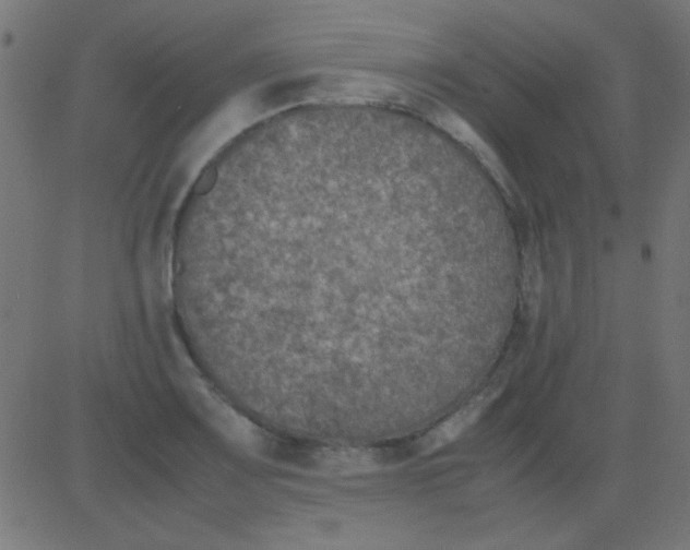 X0000081311083200702012328