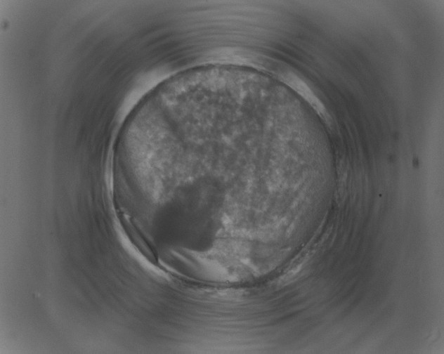 X0000081311084200702012328