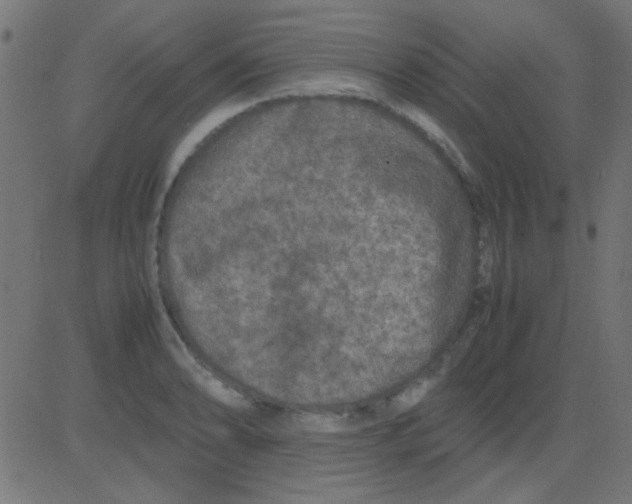 X0000081311086200702012328