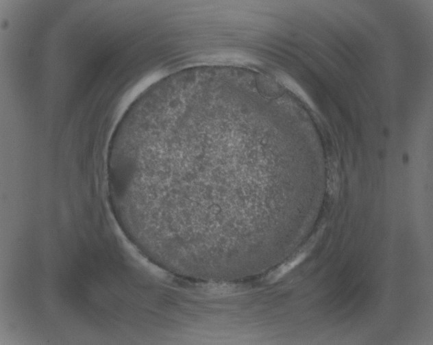 X0000081311087200702012328