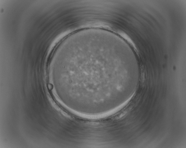 X0000081311088200702012328