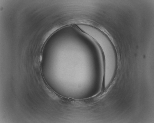 X0000081311089200702012328