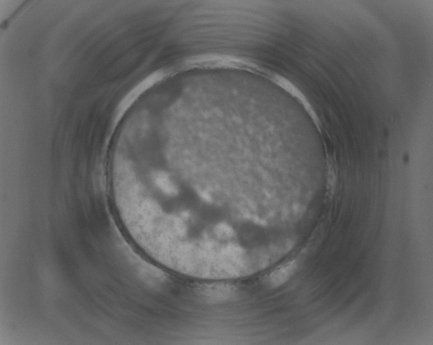 X0000081311090200702012328