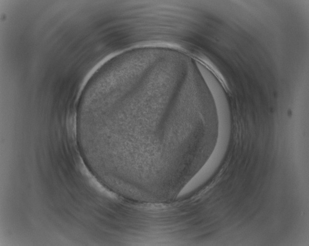 X0000081311092200702012328