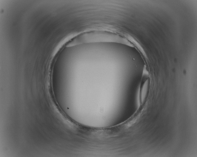 X0000081311093200702012328